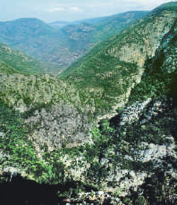 A rocky gorge showing grey rocky cliff faces and green trees growing on top