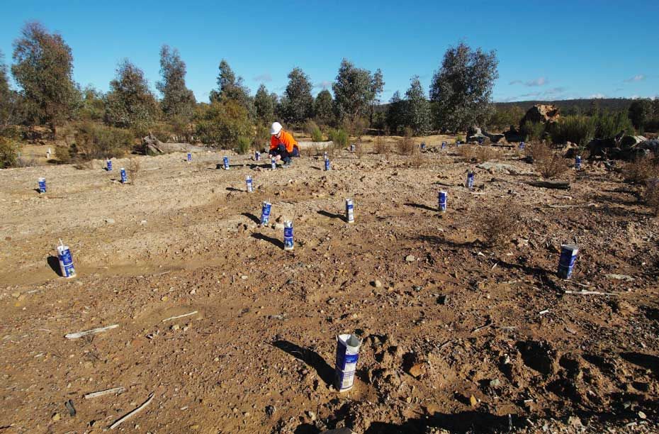 Quarry rehabilitation work