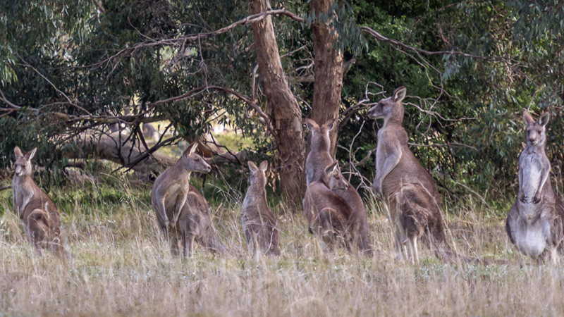 Biodiversity flourishes between a rock and a hard place - Resources ...