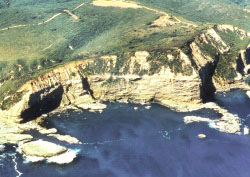 Aerial image of coastline in the Otway Basin with white stone cliffs, ocean below and green grass growing on top