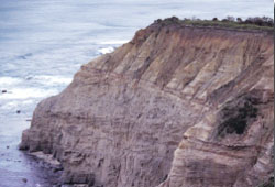 A brownish grey cliff face showing layers of rock in varying colours and the ocean below