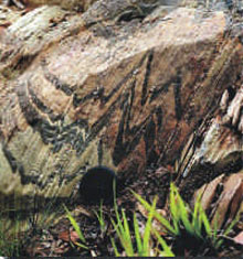 A brown rock face showing black sharp chevrons of a different rock type streaking through