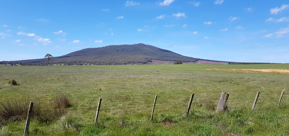 Mount Delegate and Errinundra Plateau Monaro Plains