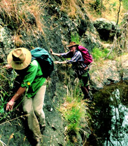 Two men scaling a rock ledge in a forest setting