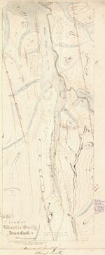 Map plan of the township of Wattle Gully showing houses and waterways in the town