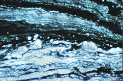 Black and white rock surfaces shown swirled together to look almost like marble