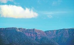 A reddish brown mountain range showing trees growing at its base