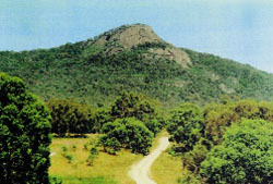 A dirt road leads up to a small rocky outcrop with trees growing at its base