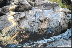 Pale veins of rock running running through the left and right side of a darker rock face