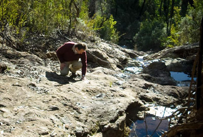 A man in a forest exploring rocks.