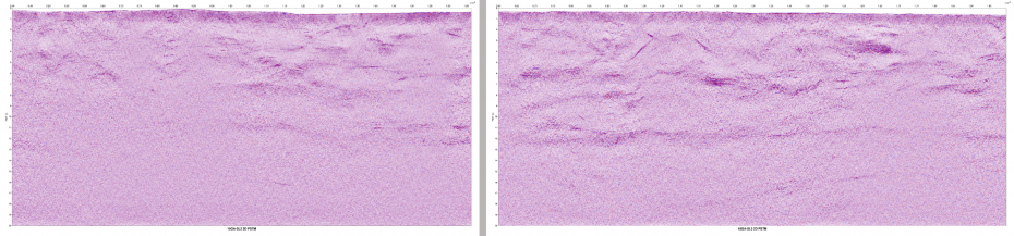 Figure showing 2D Pre-Stack Time Migrated data to 20 seconds TWT for the Southeast Lachlan Deep Crustal Seismic Reflection Survey. Left panel: Line2 (18GA-SL2) from north of Benambra (left) to southeast of Bonang (right); Right panel Line3 (18GA-SL3) from west of Bonang (left) to south of Eden (right).