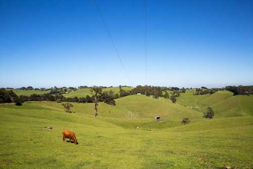 Gippsland landscape &ndash; Grand Ridge Road